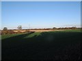 Winter shadows on Cheshire pastures in CW11 4SP