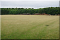 Large field and piles of logs in OX29 8ND