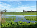 Stour water meadow in CO6 3BA