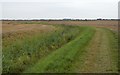 Footpath along field drain in TN29 0HX