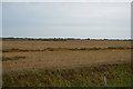 Straw in a stubble field in TN29 0HX