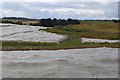 Crop under netting, Farkhill in PH1 4BY