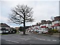 Tree at the junction of Harold Road and Grove Roads in E4 7HZ