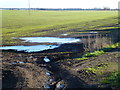 Flooded crop near School Farm, Chittering in CB25 9PH