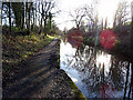 Looking south from Whitehurst tunnel, Llangollen Canal in Chirk Community
