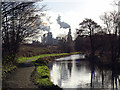 On the tow path of the Llangollen Canal in Chirk Community