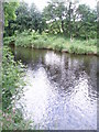 The River South Esk in DD8 3SE