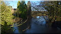 River Lugg at Bodenham Bridge, 1 in HR1 3JW