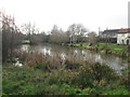 The village pond, Carlton in Lindrick in S81 9DX