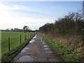 Bridleway west of Hodsock in Hodsock