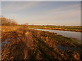 The River Idle near Bawtry in DN10 6QP