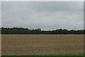 Flat farmland near Postwick in NR7 0TA