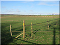 Grassland at Boxford Farm in RG20 8DR