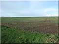 Crop field off Sigglesthorne Road in HU11 4UY