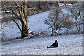Sledging on Gala Hill in TD1 3NP