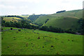 Hillside above Dovedale in DE6 2HU