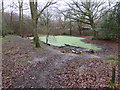 Small pond by Keepers Cottage in KT18 7TR