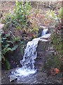 Waterfall in Namphillows Wood in TR3 6AR