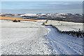 Winter farmland on Gala Hill in TD1 3NP