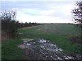 Muddy field entrance off Garthends Lane, Great Cowden in HU11 4UL