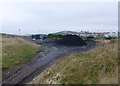 Stack of sea coal recently scraped off the beach in NE64 6HE
