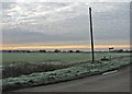 A frosty morning in The Fens in CB25 9FD