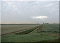 Fenland fields in January in CB24 6EB