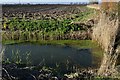 St. Mary in the Marsh: Ploughed field next to Chittenden's Lane in TN29 0DB