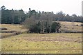 Rough grazing below the North Downs in RH4 3LY