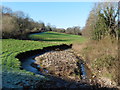 Stream, above Otterford Mill in TA20 3QF