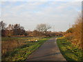 Cycle track by Skippingdale Plantation in DN15 8EP