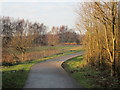 Atkinson's Warren, winter, late afternoon in DN15 8EP