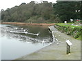 The Swan Pool, Falmouth in TR11 4EB