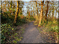 Path in Clinkham Wood in WA11 7AW