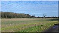 Wick Farm Fields in HP23 6HH