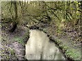 Skitters Wood, Millingford Brook in WN4 9LJ