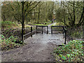 Skitters Wood, Bridge over Millingford Brook in WN4 9LJ