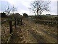 Old stock loading pens, Forfar in DD8 2RJ
