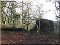 Ruined building in Haw Park Wood in BD23 1GH