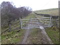 Gate on the Long Drag in Hexhamshire