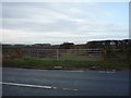 Field entrance off Main Street (B1261) in YO12 4PS