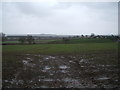 Muddy field near Falls Farm in DH6 5LN