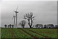Wind turbines at Reedie Strip in DD8 5LY