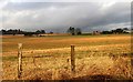 Stubble field at Maryton, Kirriemuir in DD8 5QQ