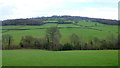 The Green fields of Monmouthshire in NP25 4JL