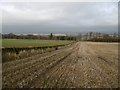 Arable land near Brechin in DD9 6SQ
