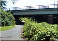 Path under the A556 dual carriageway in CW9 8GD