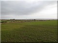 Arable land, Ardovie in DD9 6TP