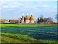 View from Green Lane of an oast in Hunton Road Marden in TN12 9RA