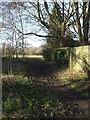 Path off Cravells Road onto Harpenden Common in AL5 2AT
